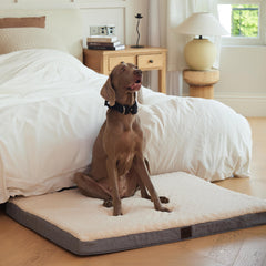 DaysU XL Orthopedic Dog Bed with Washable Cover